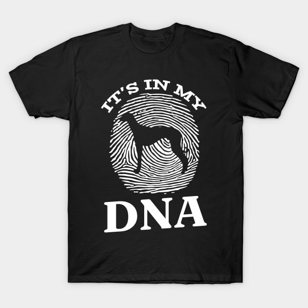 Old Croatian Sighthound It`s In My DNA T-Shirt by Shirtjaeger